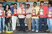 Pora Pove Triple Platinum Disc Function